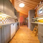 Βίλα River- Luxury Lapland